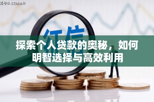 漳平探索个人贷款的奥秘，如何明智选择与高效利用