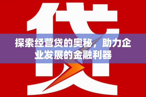 漳平探索经营贷的奥秘，助力企业发展的金融利器