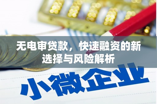 漳平无电审贷款，快速融资的新选择与风险解析