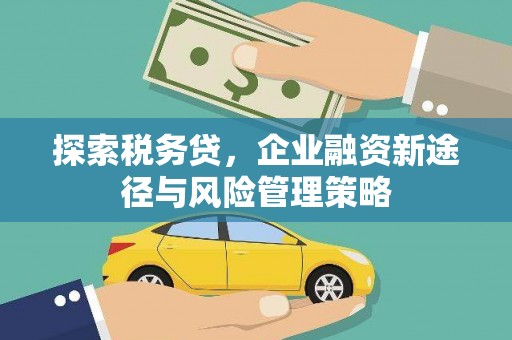 漳平探索税务贷，企业融资新途径与风险管理策略