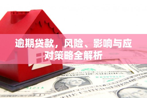 漳平逾期贷款，风险、影响与应对策略全解析