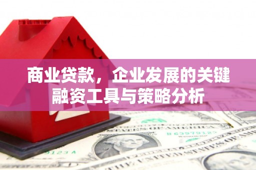 漳平商业贷款，企业发展的关键融资工具与策略分析