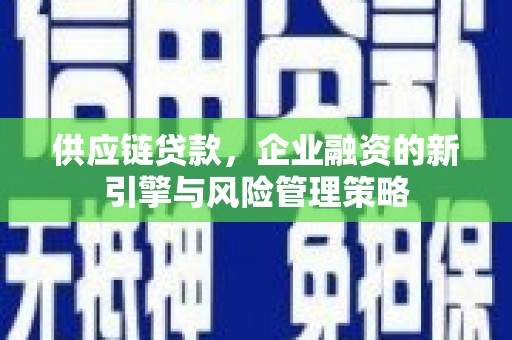漳平供应链贷款，企业融资的新引擎与风险管理策略