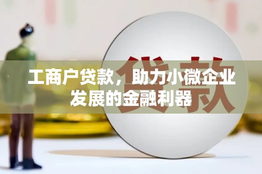 漳平工商户贷款，助力小微企业发展的金融利器