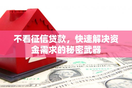 漳平不看征信贷款，快速解决资金需求的秘密武器