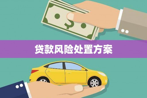 漳平贷款风险处置方案