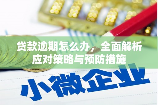 漳平贷款逾期怎么办，全面解析应对策略与预防措施