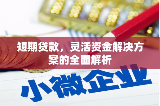 漳平短期贷款，灵活资金解决方案的全面解析