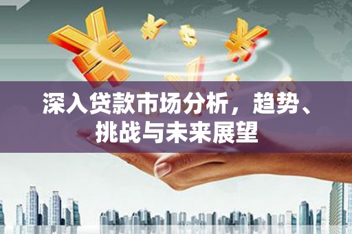漳平深入贷款市场分析，趋势、挑战与未来展望