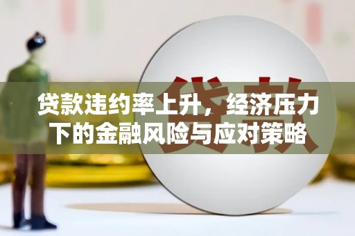 漳平贷款违约率上升，经济压力下的金融风险与应对策略