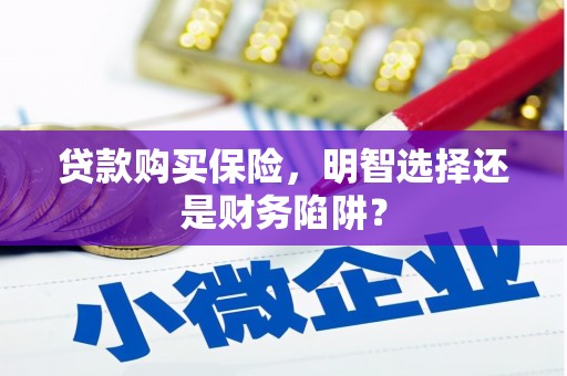 漳平贷款购买保险，明智选择还是财务陷阱？