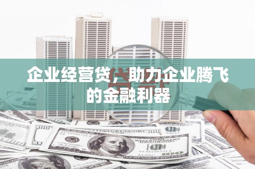 漳平企业经营贷，助力企业腾飞的金融利器