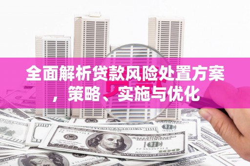 漳平全面解析贷款风险处置方案，策略、实施与优化