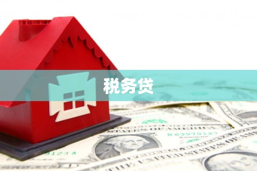 漳平税务贷