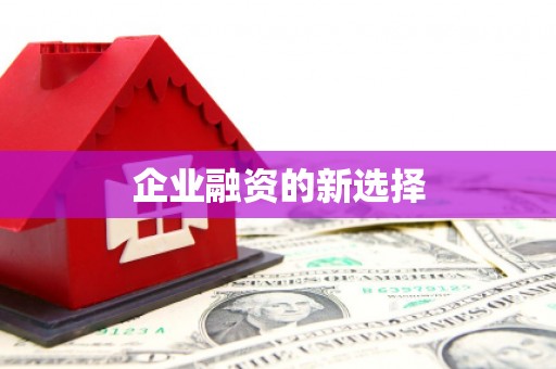 漳平企业融资的新选择