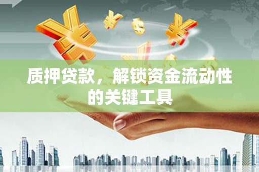 漳平质押贷款，解锁资金流动性的关键工具