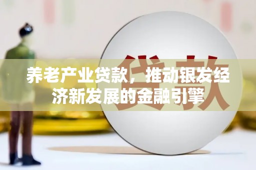 漳平养老产业贷款，推动银发经济新发展的金融引擎