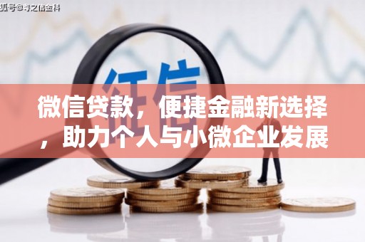 漳平微信贷款，便捷金融新选择，助力个人与小微企业发展