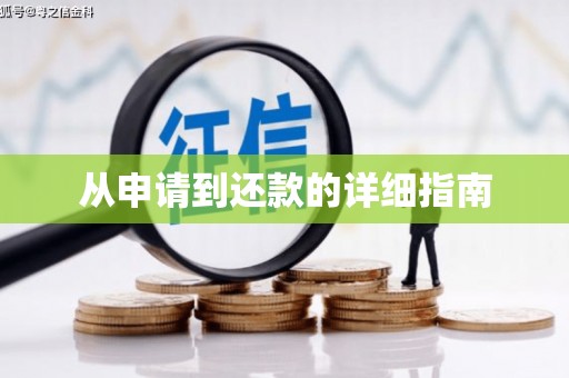 漳平从申请到还款的详细指南