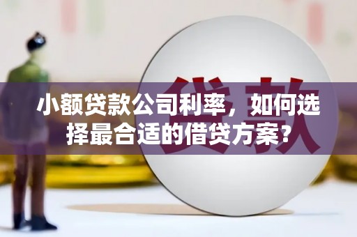 漳平小额贷款公司利率，如何选择最合适的借贷方案？