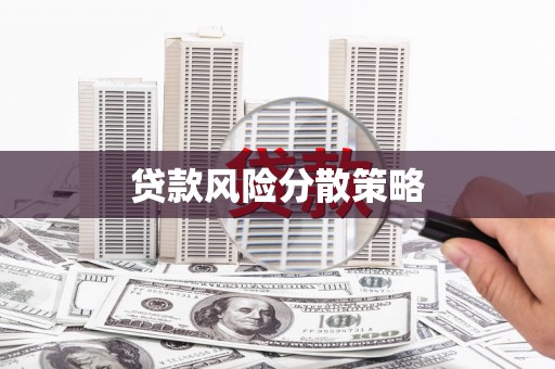 漳平贷款风险分散策略