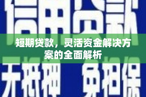 漳平短期贷款，灵活资金解决方案的全面解析