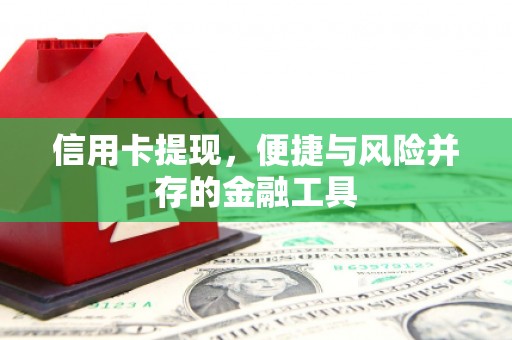 漳平信用卡提现，便捷与风险并存的金融工具