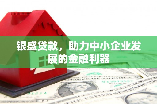 漳平银盛贷款，助力中小企业发展的金融利器
