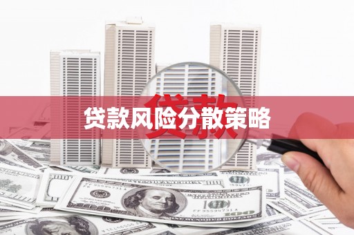 漳平贷款风险分散策略