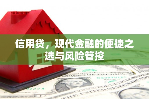 漳平信用贷，现代金融的便捷之选与风险管控
