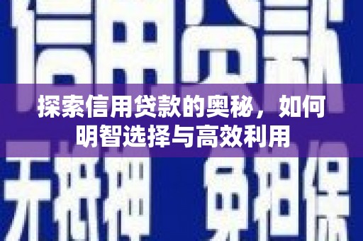 漳平探索信用贷款的奥秘，如何明智选择与高效利用