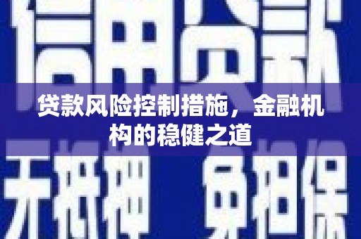 漳平贷款风险控制措施，金融机构的稳健之道