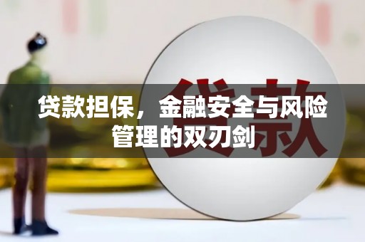 漳平贷款担保，金融安全与风险管理的双刃剑