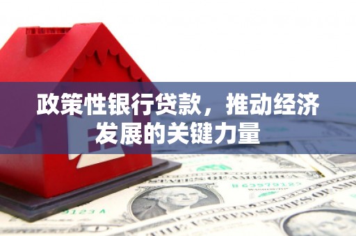 漳平政策性银行贷款，推动经济发展的关键力量
