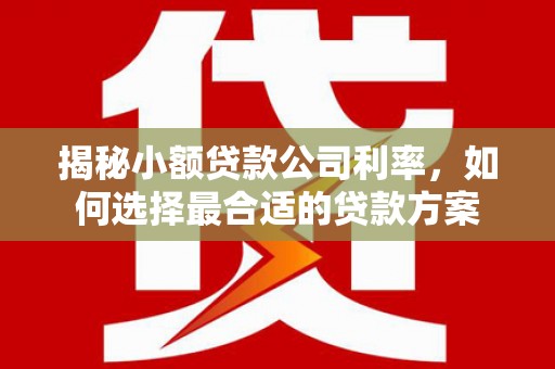 漳平揭秘小额贷款公司利率，如何选择最合适的贷款方案