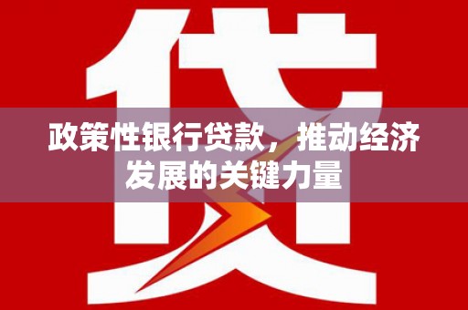 漳平政策性银行贷款，推动经济发展的关键力量