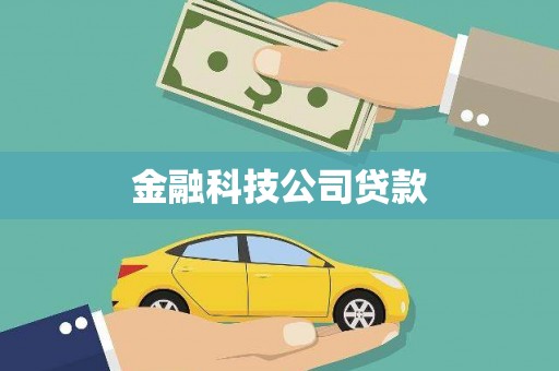 漳平金融科技公司贷款