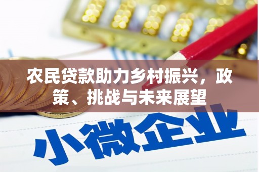漳平农民贷款助力乡村振兴，政策、挑战与未来展望