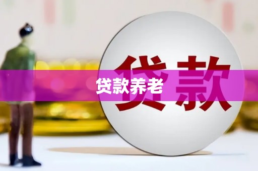 漳平贷款养老
