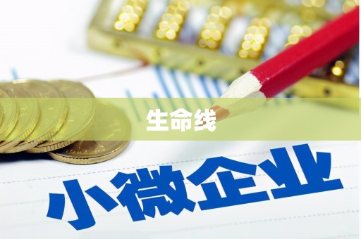 漳平生命线