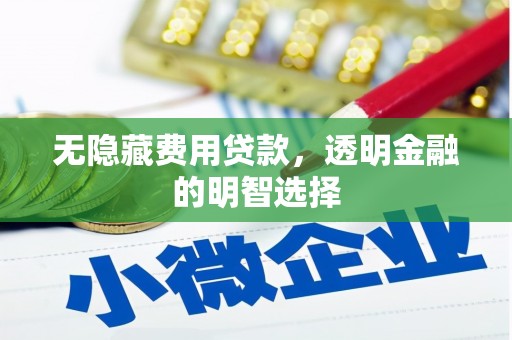 漳平无隐藏费用贷款，透明金融的明智选择