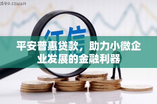 漳平平安普惠贷款，助力小微企业发展的金融利器