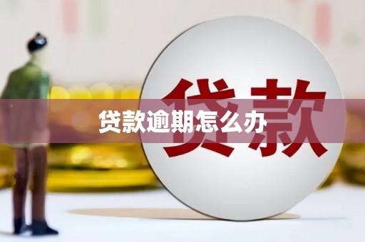 漳平贷款逾期怎么办