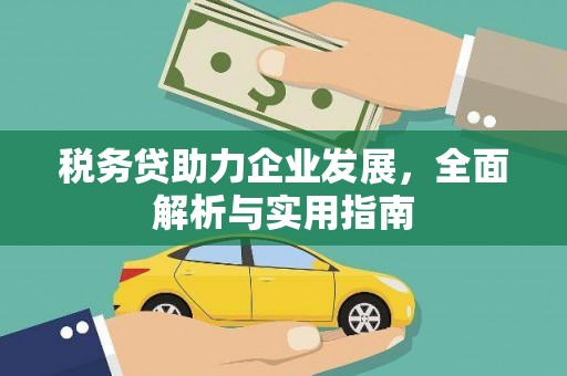 漳平税务贷助力企业发展，全面解析与实用指南