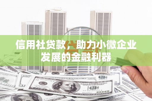 漳平信用社贷款，助力小微企业发展的金融利器
