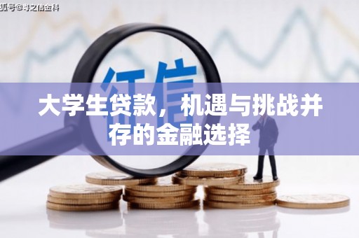 漳平大学生贷款，机遇与挑战并存的金融选择