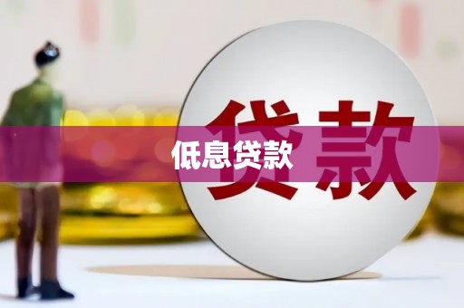 漳平低息贷款
