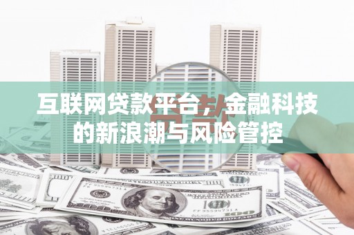 漳平互联网贷款平台，金融科技的新浪潮与风险管控