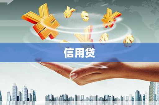 漳平信用贷