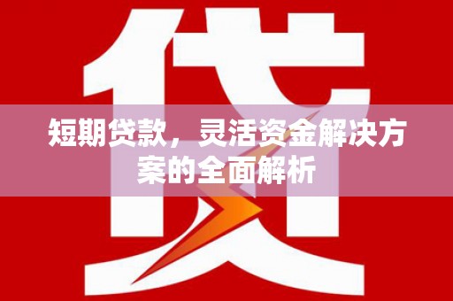 漳平短期贷款，灵活资金解决方案的全面解析